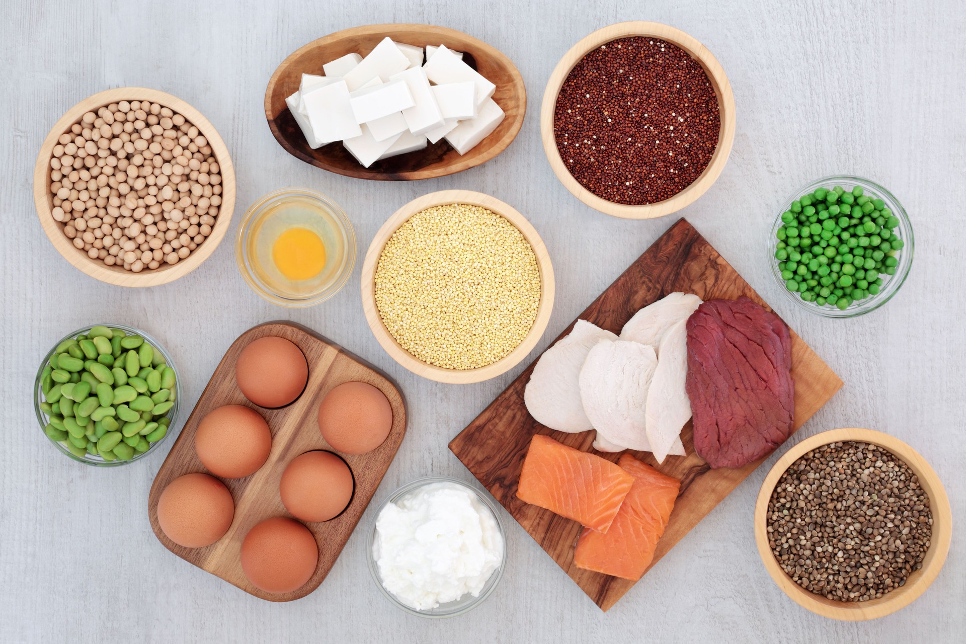 Health Food High in Protein